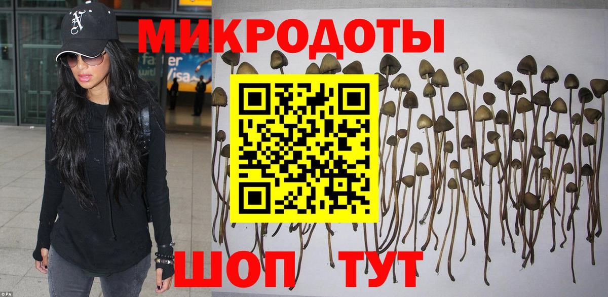 Галлюциногенные грибы мухоморы  закладки  Псилоцибиновые грибы Cubensis  Боровичи  Вход с VPN 
