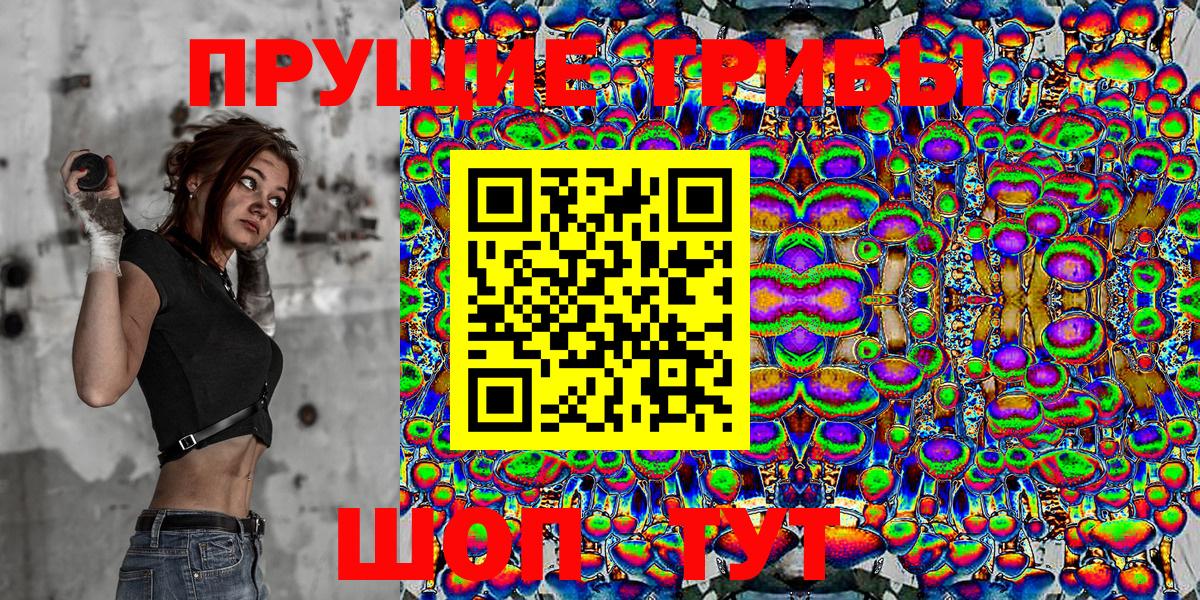 Псилоцибиновые грибы Cubensis Боровичи
